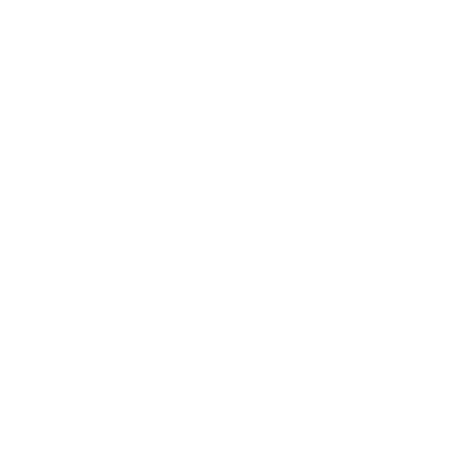 icon plan